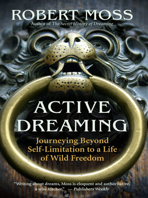 cover image of Active Dreaming